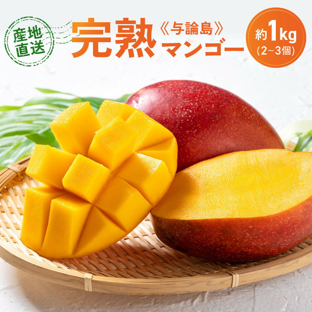 【ふるさと納税】「2026夏発送」★厳選★ 完熟 与論島マンゴー 1kg（2～3個）【数量限定】【産地直送】【先行予約】