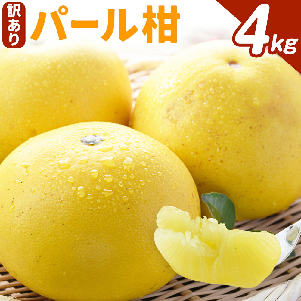 【ふるさと納税】訳あり パール柑 約4kg 都呂々みかん生産者グループ《3月上旬-4月中旬頃出荷予定》熊本県 苓北町 みかん 果物 フルーツ