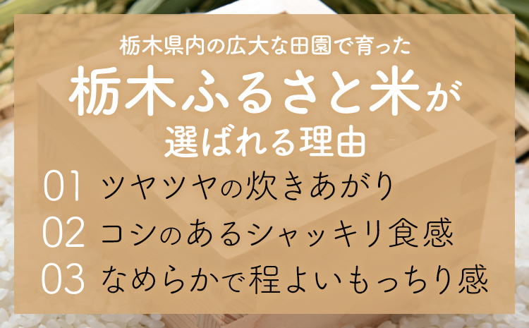 米 栃木 ふるさと米 無洗米 10kg《10月下旬から11月末頃出荷》栃木県 野木町 米 白米 精米 国産 お米 おこめ お弁当 おにぎり【栃木県共通返礼品】