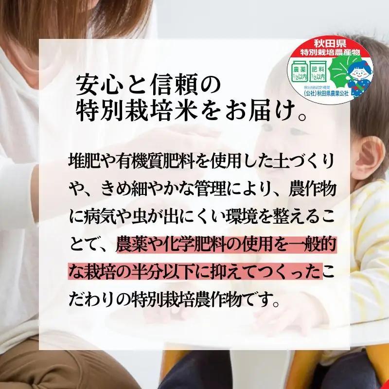 【3ヶ月定期便】特別栽培米 あきたこまち 白米 秋田県産 特別栽培米【5kg】