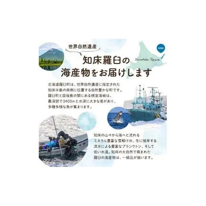 SAKURAサーモン スティック一夜干し 250g×真空4パック 1kg  魚 サーモン 鮭 おつまみ 鮭の肴 国産 知床 羅臼 北海道