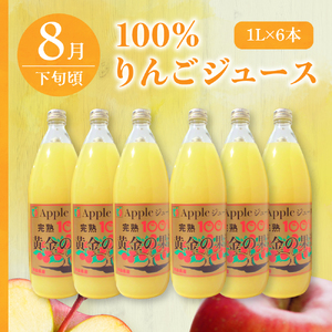 【2026年7月発送開始】 フルーツ定期便【3回】（ジュース入りセット）りんご、りんごジュース、メロン　訳あり品含む | フルーツ定期便