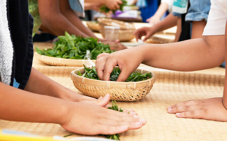 【ランチなし】「快晴茶」お茶摘み体験チケット[BDAT007]