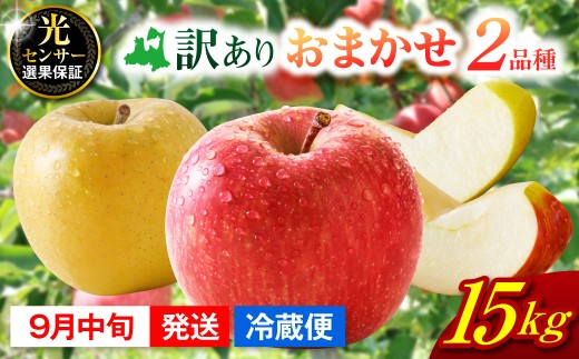 【2026年9月中旬発送】 【訳あり】旬の美味しいりんご 約15kg 青森産 【おまかせ2品種】
