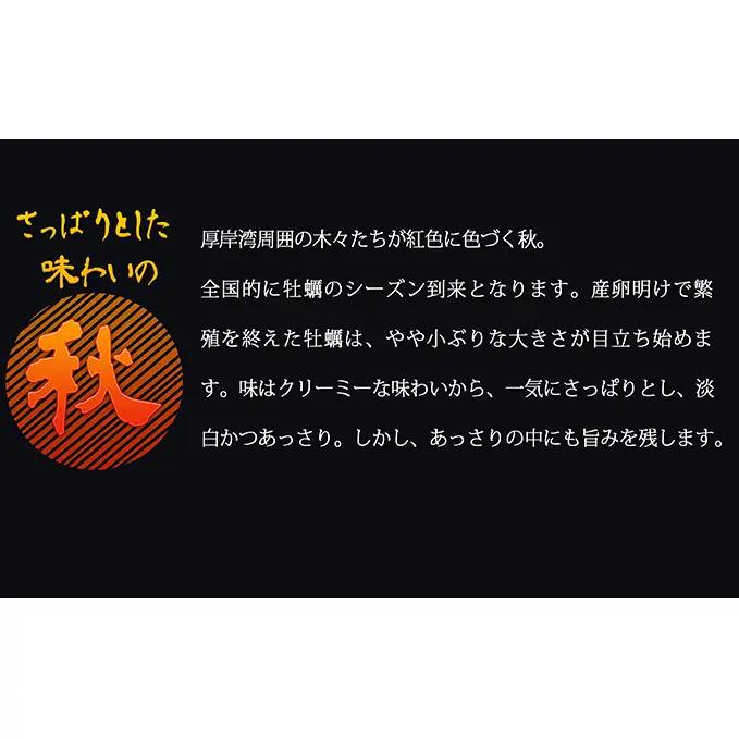 定期便 4回 季節によって味が違う！春夏秋冬 【配送不可：沖縄・離島】マルえもん 牡蠣