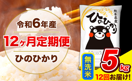 令和6年産 新米 ひのひかり 【12ヶ月定期便】 無洗米  5kg (5kg×1袋) 計12回お届け 《お申し込み月の翌月から出荷開始》 熊本県産 無洗米 精米 ひの 米 こめ お米 熊本県 長洲町