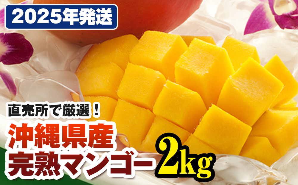 【2026年発送】直売所で厳選　沖縄県産「完熟マンゴー」2kg