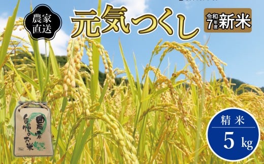 《令和7年産 》福岡県大川市産 ブランド 米「 元気つくし 」 5kg | お米 米 こめ 精米 白米 ライス ブランド米 ごはん ご飯