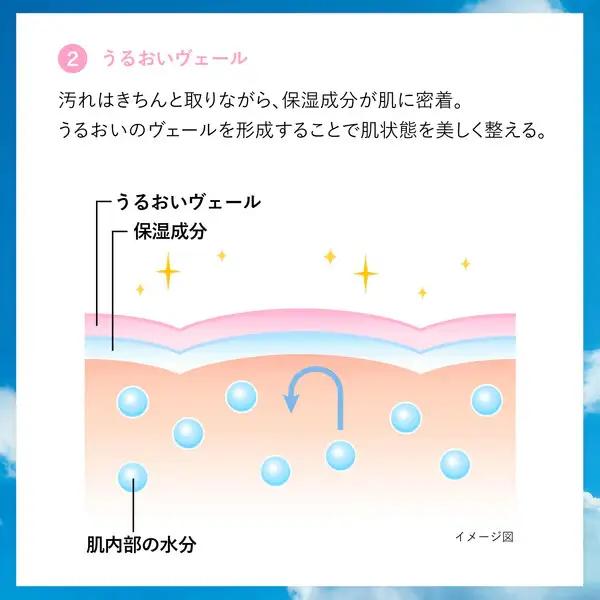 【美容】センカ パーフェクトホイップ 120g 6個 | 美容 洗顔