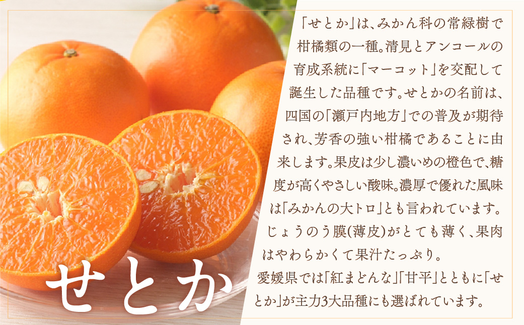 【先行受付】★訳アリ★【数量限定500箱】　愛媛・小林果園のせとか　約5キロ【D24-38】 YWTAD029