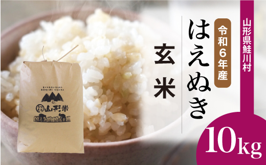 ＜令和6年産米＞令和7年3月中旬発送　はえぬき 【玄米】 10kg （10kg×1袋） 鮭川村