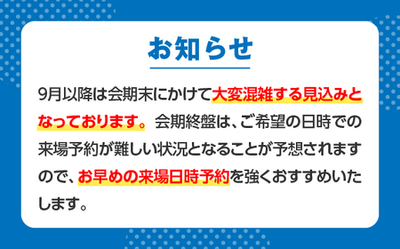 No.378 2025年日本国際博覧会入場チケット 夜間券（小人）【河南町返礼品】／ 万博 ばんぱく EXPO 2025 大阪万博 関西万博 大阪・関西万博 パビリオン ミャクミャク 大屋根リング い