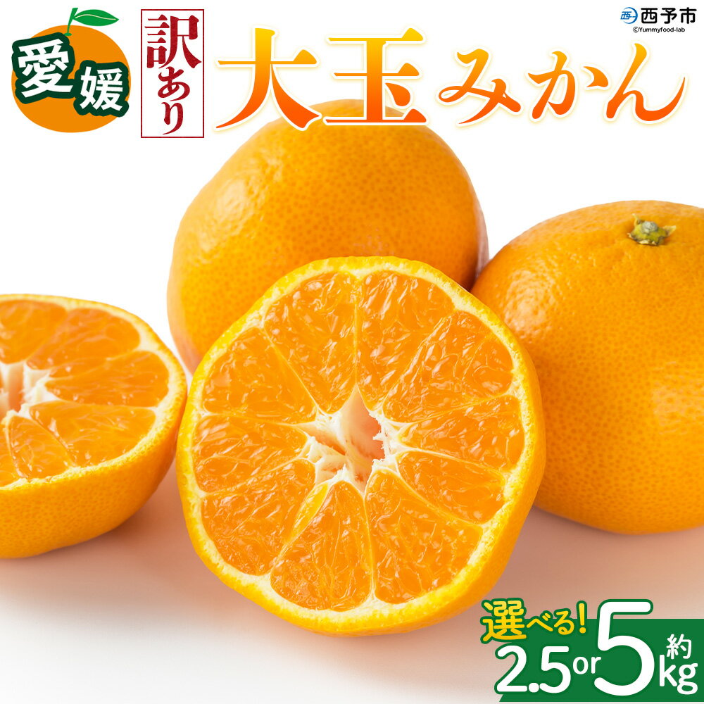 【ふるさと納税】＜【訳あり】愛媛県産 大玉みかん 約2.5kg／5kg＞『2026年11月上旬～1月下旬迄順次発送予定』 選べる 容量 内容量 わけあり 大きい おおだま みかん 蜜柑 果物 くだもの フルーツ ミカン 果汁 国産 特産品 株式会社三代目みかん職人 愛媛 西予市【常温】