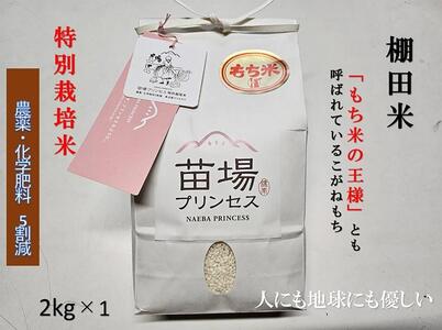 【令和8年産先行予約】魚沼産こがねもち 精米2kg 特別栽培米 農薬化学肥料5割減 |津南町 こがねもち