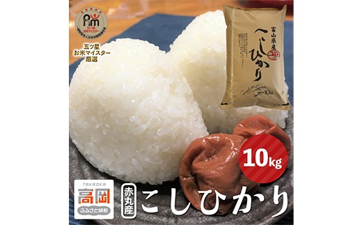 
                  赤丸産こしひかり 10kg 高岡市 米 精米 FAD-1984
                