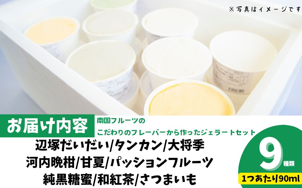 南のくだもの王国 南のFRUIT＆CROPS ジェラート セット (9種 9個入り)