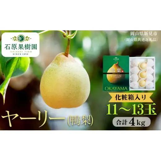 ヤーリー 4kg 贈答 化粧箱 赤秀 11～13玉【先行予約 2026年11月中旬から順次発送】