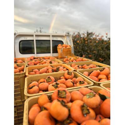 ふるさと納税 多気町 【令和8年先行予約】優しい農園　フードロス次郎柿　5kg　20数個〜30数個目安　大きな傷等　訳あり |  | 01