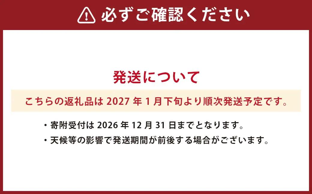 熊本県産 デコポン （ハウス） 約3kg ミカン みかん 蜜柑 果物 くだもの フルーツ 【2027年1月下旬発送開始】