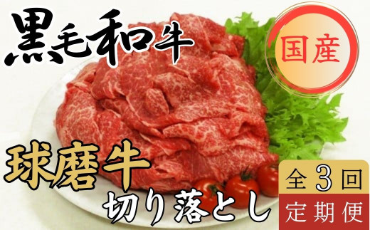 球磨牛 くまもと黒毛和牛 切落しセット 【年3回発送】 ／ バラ切落し700g モモ切落し900g【6月発送】 ／ うす切り（切落し）850g バラ切落し700g【10月発送】 ／ モモ切落し900g うす切（切落し）850g【2月発送】