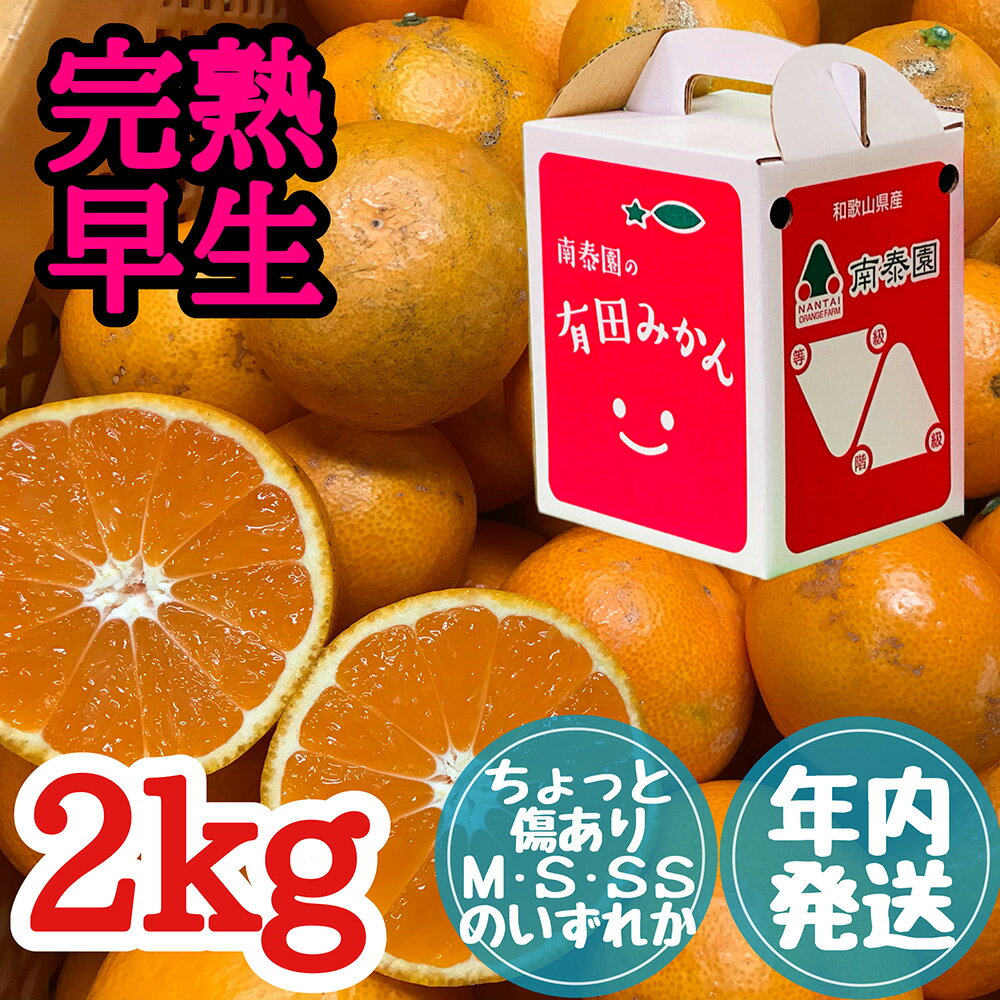 【ふるさと納税】ちょっと傷あり 【完熟早生・有田みかん】 M～SSサイズ約2kg 【ミカン 蜜柑 柑橘 温州みかん 和歌山 有田】