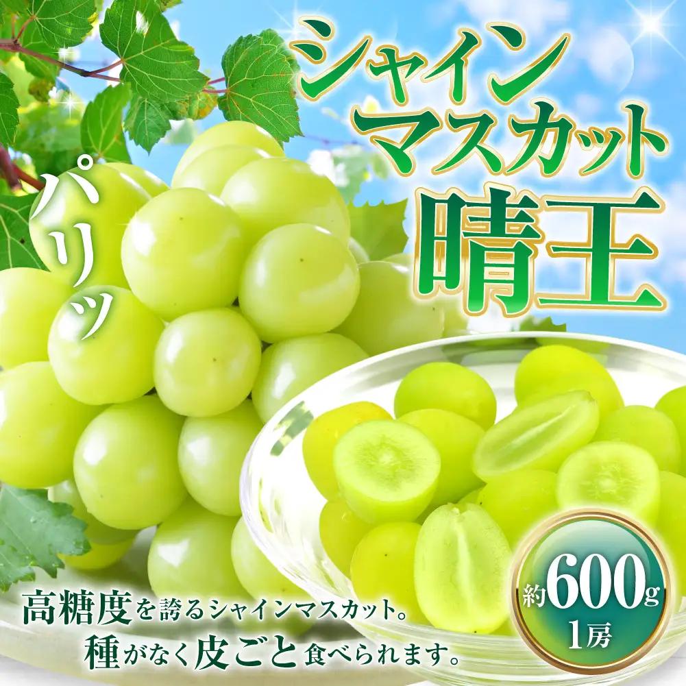 シャインマスカット晴王 約600g×1房 【2026年8月下旬～11月下旬迄発送】 岡山 種無し 種なし マスカット 果物 くだもの フルーツ ぶどう ブドウ 葡萄 冷蔵