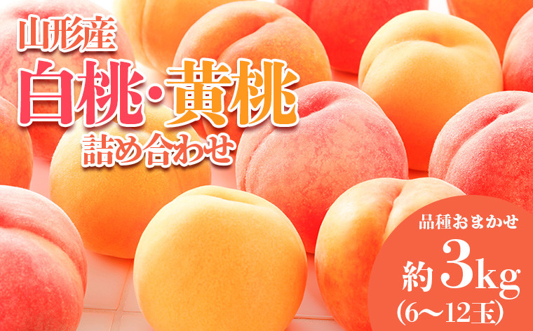 
            やまがたの桃(白桃・黄桃詰合せ)  品種お任せ 白桃＆黄桃 秀品 約3kg(6～12玉程度) 【令和7年産先行予約】FS23-813 くだもの 果物 フルーツ 山形 山形県 山形市 2025年産
          