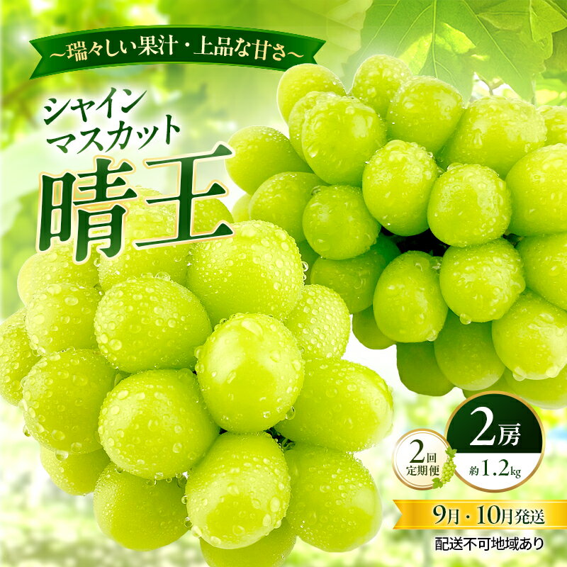 【ふるさと納税】ぶどう 2026年 先行予約 定期便 シャインマスカット 晴王 2房 約1.2kg 9月・10月 2回発送 岡山県産 種無し 皮ごと食べる みずみずしい 甘い 瀬戸内 晴れの国 おかやま 果物大国 満天フルーツ　お届け：2026年9月1日～2026年10月31日