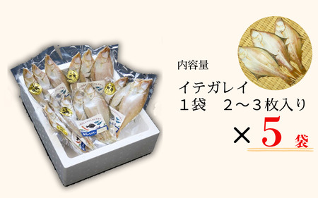 【24020】田後漁港特産　イテガレイ干物５個セット