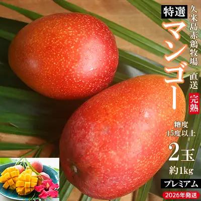 マンゴー 【2026年発送】久米島赤鶏牧場 直送！糖度15度以上「プレミアム」完熟マンゴー 2玉（約1kg）アーウィン