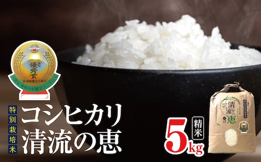 
										
										*【令和6年度産】特別栽培米 コシヒカリ 清流の恵 5kg | 米 こめ コメ お米 白米 はくまい 精米 コシヒカリ 長野県 松川村 優秀賞
									