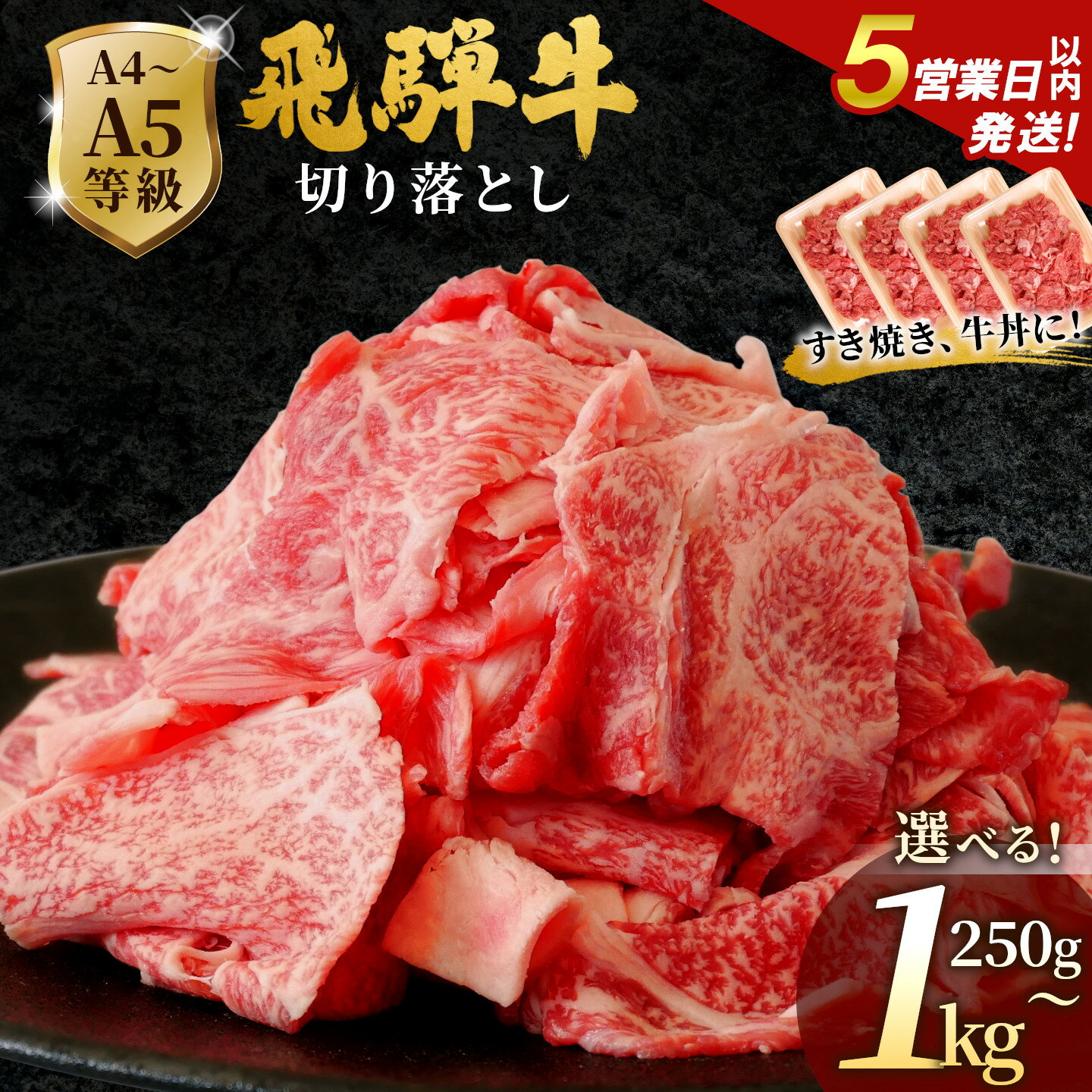【ふるさと納税】【5営業日以内発送】飛騨牛 A4~A5等級 切り落とし 250g 500g 1kg 岐阜県産 A4 A5 すき焼き 牛丼 炒め物 おかず 肉じゃが カレー 黒毛和牛 牛肉 牛 国産 お取り寄せ ごちそう 自宅用 部位おまかせ 和牛 大容量 訳あり 小分け 最短発送 肉のひぐち