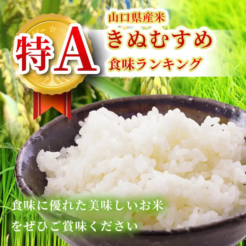 令和8年度産 新米 きぬむすめ 白米 5kg 村上農園 先行予約 ＜2026年10月中旬より11月末まで順次発送 ＞