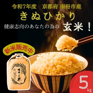 令和7年産 キヌヒカリ 5kg (玄米) 明田のお米
