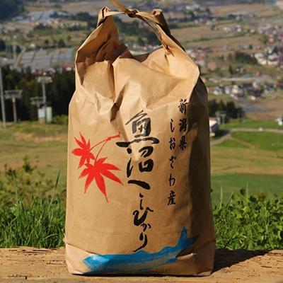 ふるさと納税 南魚沼市 生産者限定  南魚沼しおざわ産コシヒカリ　精米　計20kg(10kg×2袋)