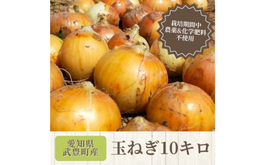 ＜4月上旬から順次発送＞玉ねぎ10kg　栽培期間中化学肥料/農薬不使用【1660261】