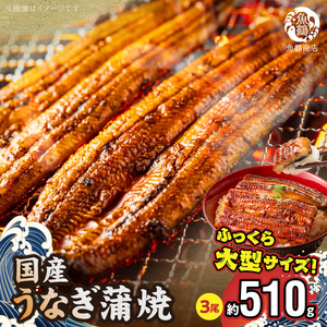 大型サイズ ふっくら柔らか 国産うなぎ 蒲焼き 3尾 (約6人前) 化粧箱入_G7311