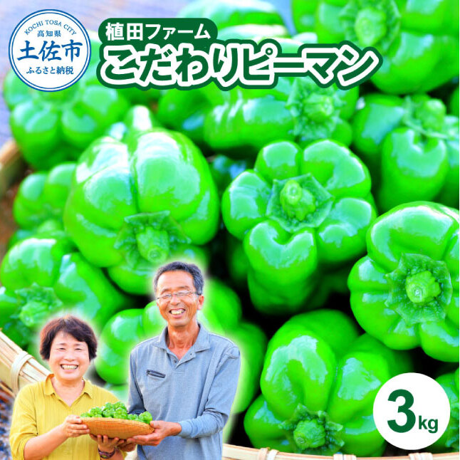 【先行予約】高知県産 植田ファームのこだわりピーマン 3kg〈2026年10月1日～2027年6月下旬〉 ピーマン 甘い 新鮮野菜 サラダ 野菜 おかず 詰め合わせ 絶品 お取り寄せ 美味しい 料理 