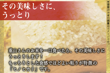 ★定期便3か月★＜宮崎県産 ヒノヒカリ 7kg＞翌月中旬頃に第１回目発送（※8月は下旬頃）【 米 お米 お弁当 おにぎり 定期便 】