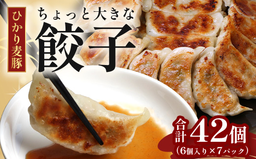 【ひかり麦豚】ちょっと大きな 餃子 42個 セット HM-707