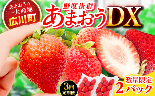 【3回定期便】博多あまおう 1ケース（270g×2P）いちご 苺 イチゴ ふるーつ くだもの フルーツ 果物 旬 福岡県産 小分け 広川町 / JAふくおか八女農産物直売所どろや [AFAB019]