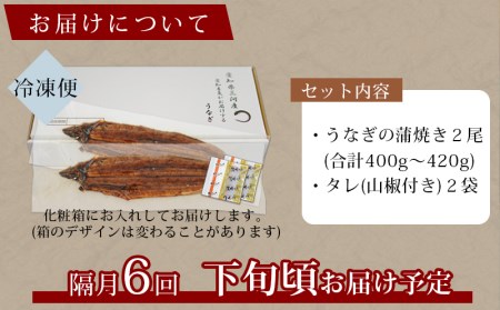 【定期便】三河産うなぎ「超特大蒲焼き2尾(合計400～420g)」×6回(隔月1回　1年間)・A133-102