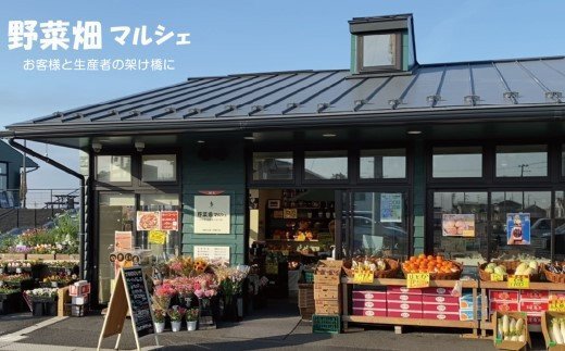 蔵王琥珀卵（50個）　【04301-0295】_イメージ4