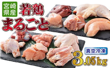 若鶏まるごと3.05ｋgセット_K040-011