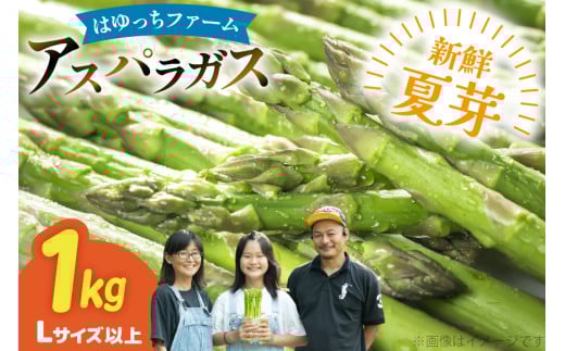 アスパラ アスパラガス 夏芽アスパラガス 1kg L サイズ以上 [はゆっちFARM 長崎県 東彼杵町 hs42bag360001] アスパラ あすぱら 新鮮 夏