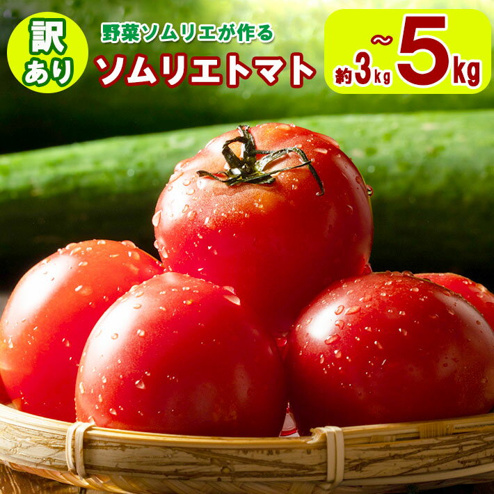 【ふるさと納税】大玉 訳あり ソムリエトマト 約3kg〜5kg × 1箱 農家直送 熊本 玉名