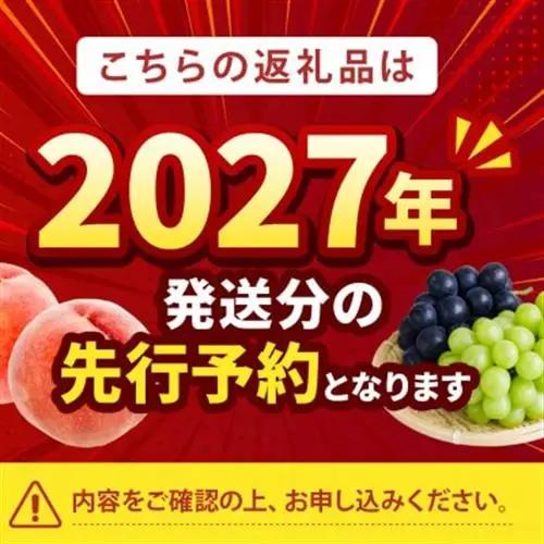 2027年発送先行受付【むっちり高糖度夏の甘味王　嶺鳳】本場山梨の品種指定キャンペーンお試約1kg　【配送不可地域：離島・北海道・沖縄県・中国・四国・九州】【1704723】