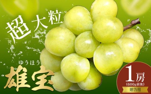 ぶどう 贈答用 雄宝 1房 600g前後 葡萄 ブドウ ぶどう 大粒 種なし フルーツ 果物 産地直送 新鮮 お取り寄せ ギフト 国産 季節限定 茨城県 結城市《8月下旬-9月下旬頃出荷予定》會澤ぶどう・キウイフルーツ園 【配送不可地域あり】(離島)