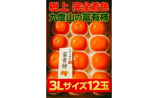 【2026年発送】こだわりの樹上完全着色「九度山の富有柿」3Lサイズ12玉