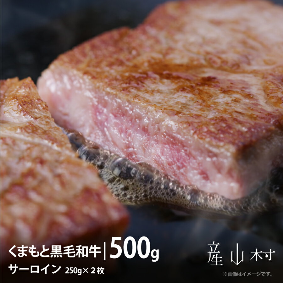 【ふるさと納税】くまもと黒毛和牛・サーロイン約500g【配送不可地域：離島】《60日以内に出荷(土日祝除く)》 ミートショップまきば
